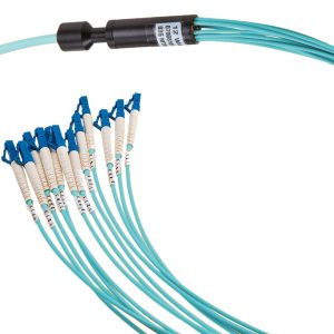 Multicore Fibre Hydra Solutions