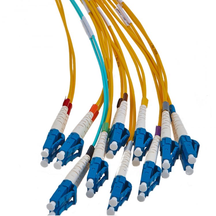 Pre-terminated CWDM hydra closeup