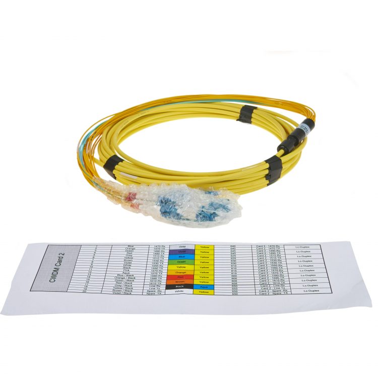Pre-terminated CWDM hydra